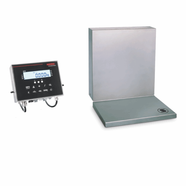 Soehnle balance murale 7624