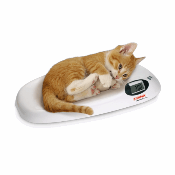 Soehnle pèse-animaux 8310 Home – Léger, compact, fiable