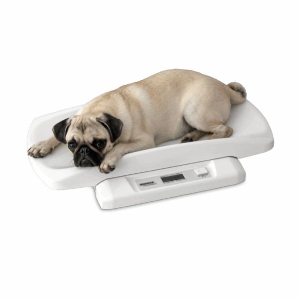 Soehnle pèse-animaux Pet 8352 – Compact, simple et précis