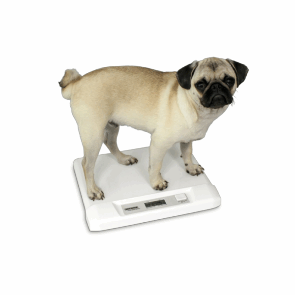 Soehnle pèse-animaux Pet 8352 – Compact, simple et précis – Image 2